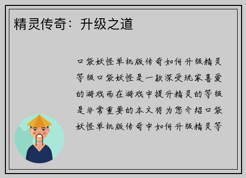 精灵传奇：升级之道